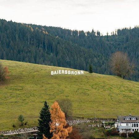 바이에르스브론 Haus Irene Gemuetlich Moderner Schwarzwald 아파트 외부 사진
