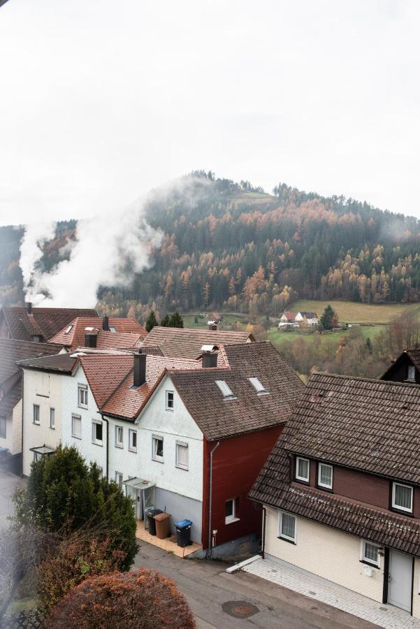 바이에르스브론 Haus Irene Gemuetlich Moderner Schwarzwald 아파트 외부 사진